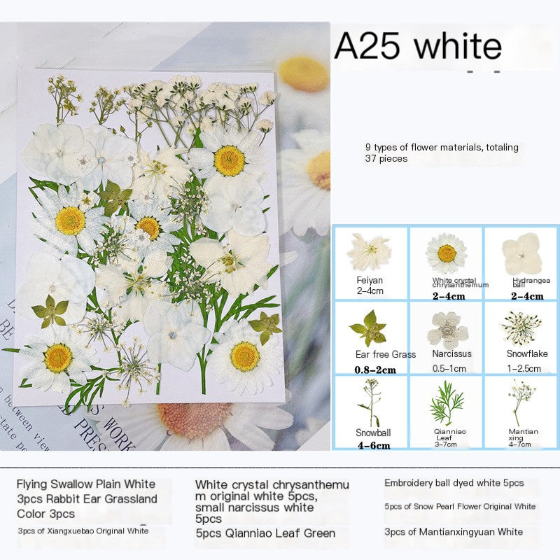 28pcs Mixed Dried Flower Pack for Makeup Modeling