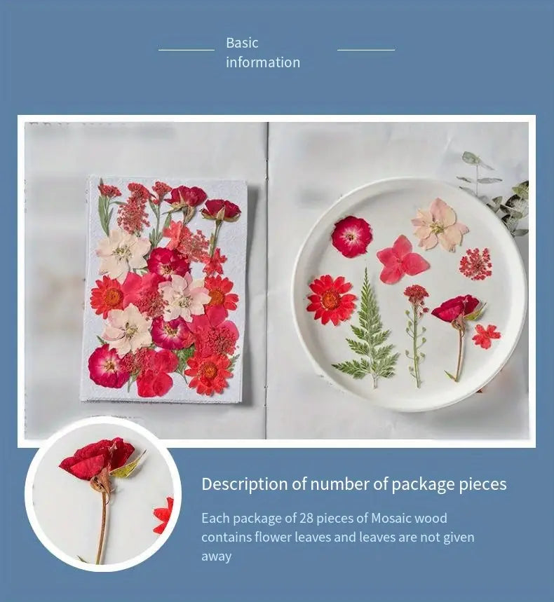 28pcs Mixed Dried Flower Pack for Makeup Modeling