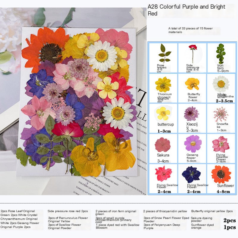 28pcs Mixed Dried Flower Pack for Makeup Modeling