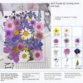 28pcs Mixed Dried Flower Pack for Makeup Modeling